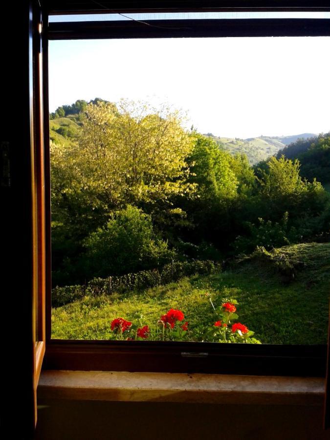 Agriturismo Il Casale Pica Posta Exteriér fotografie