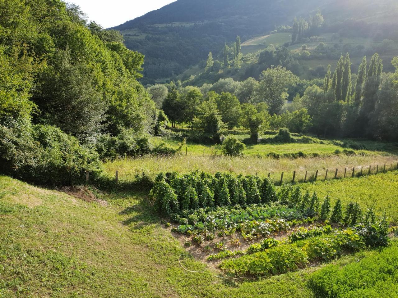 Agriturismo Il Casale Pica Posta Exteriér fotografie