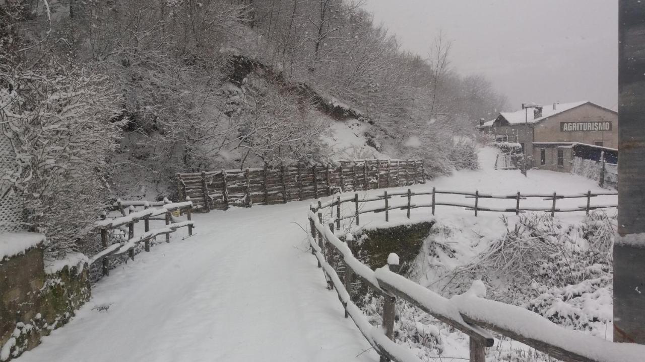 Agriturismo Il Casale Pica Posta Exteriér fotografie