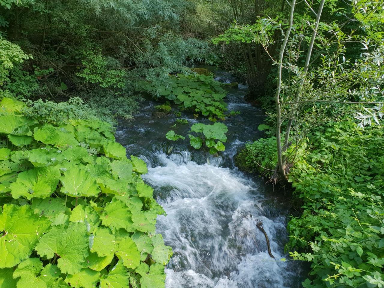Agriturismo Il Casale Pica Posta Exteriér fotografie